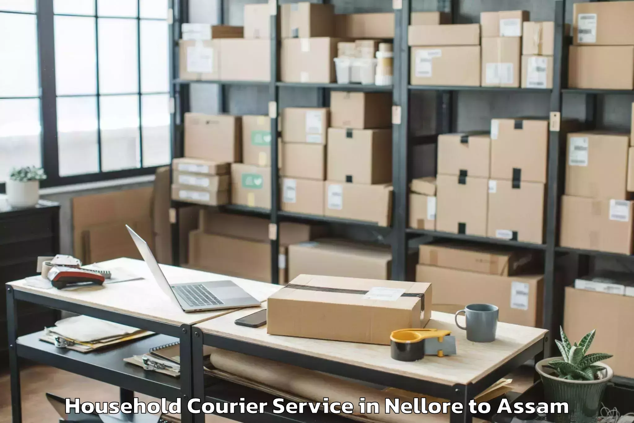 Professional Nellore to Sonapur Household Courier